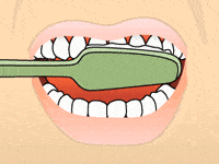 Brushing: Step 2